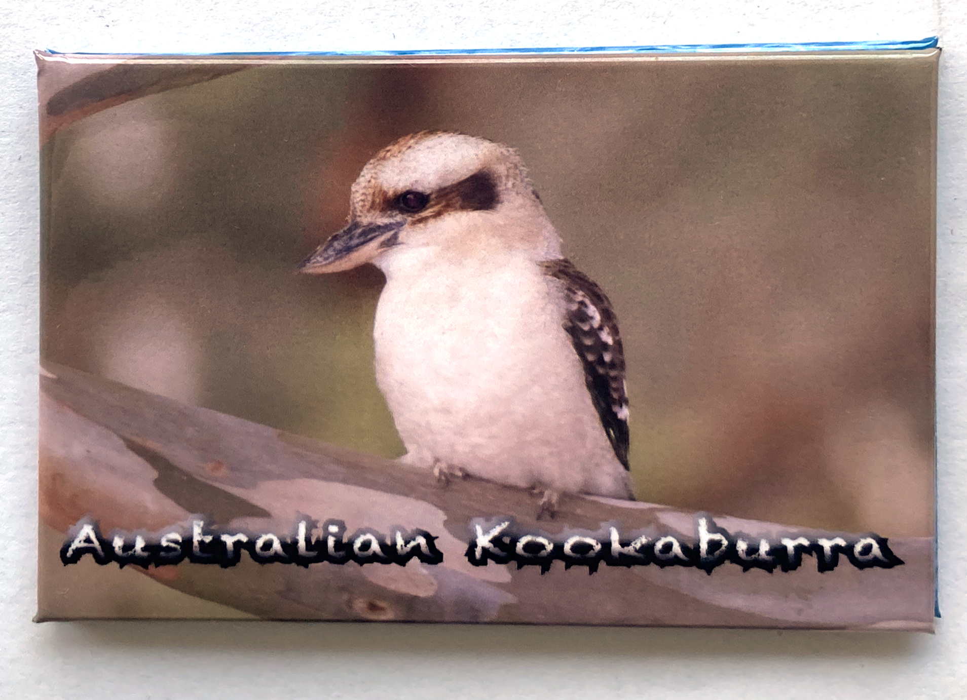Australian Kookaburra MA1171