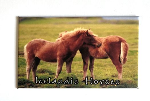 MA1101-Icelandic-horses-copy-7.23.49-pm.jpg